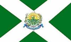Bandeira de Campos de Júlio